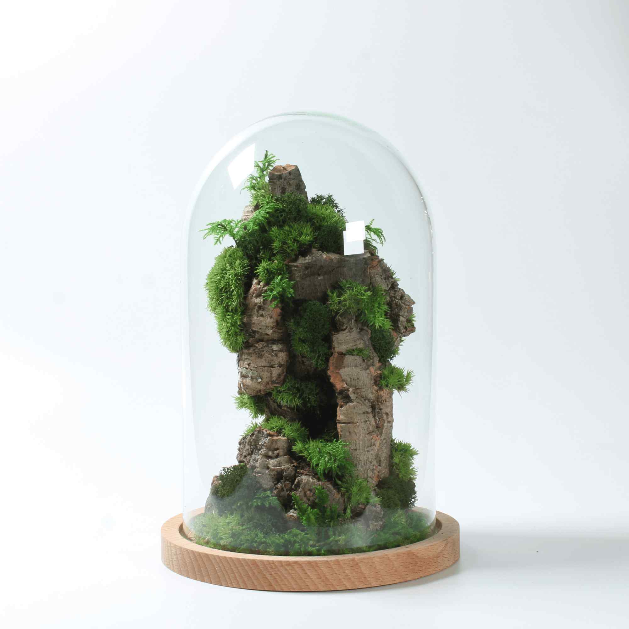 Moss Art - International